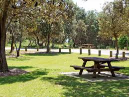 Garden area